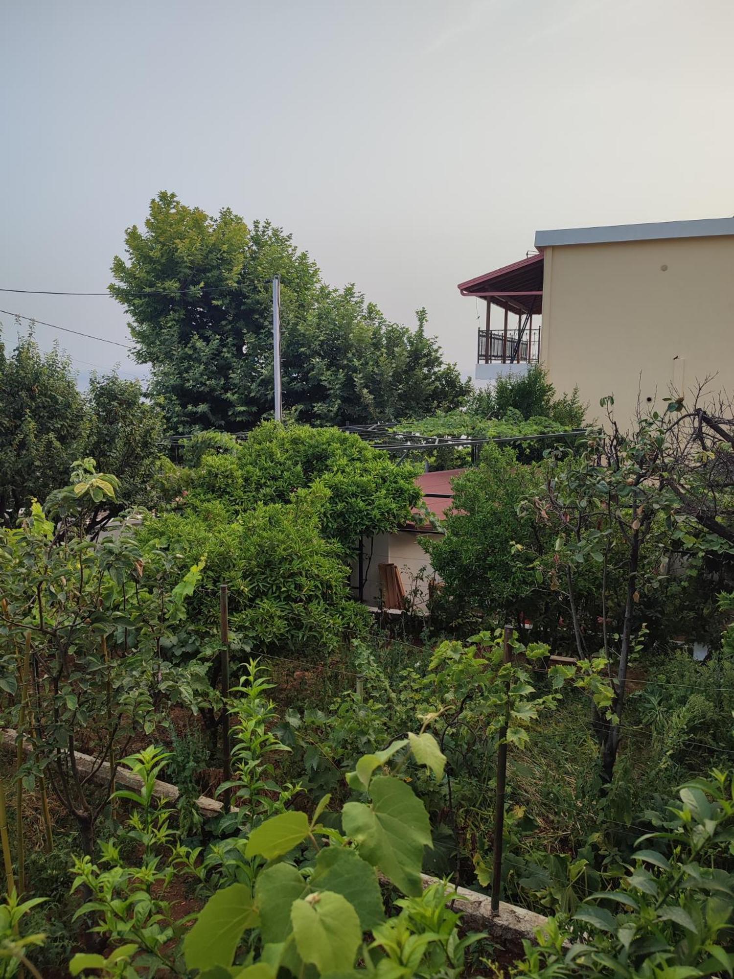 Villa Janilla Dhërmi Exterior foto